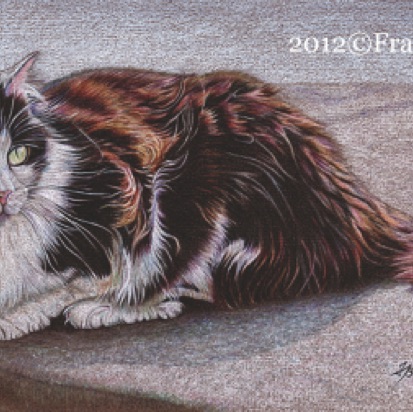 Grippette - 22 hours
Daler Rowney Pastel Paper
8" x 16"
Spooky's first litter Grippette - 22 hours
Daler Rowney Pastel Paper
8" x 16"
Spooky's first litter